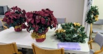 PXL_20241102_203419755~2.jpg